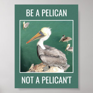 Var en pelikan, inte en pelikan som inte Poster mo