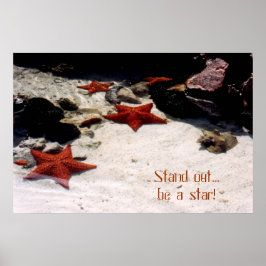 Var en stjärna vid galleri poster