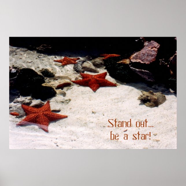 Var en stjärna vid galleri poster (Framsidan)