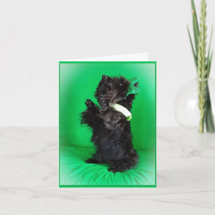 Var en välsignelse kort