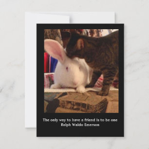 Var en vän Notecard Tack Kort