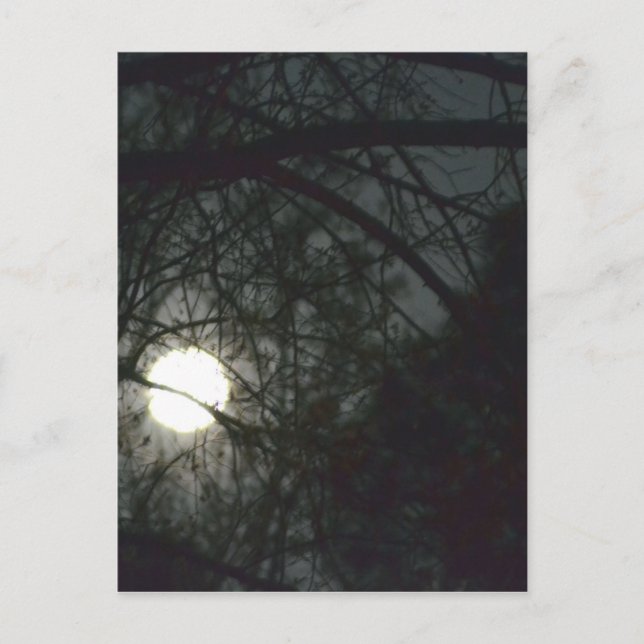 Vår Equinox Full Moon Vykort (Framsida)