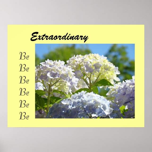 Var extraordinär konsttryck gåvor Hydrangea Blomma Poster (Framsidan)