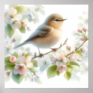 Vår Fågel Körsbärsblomning Floral Akvarell Poster