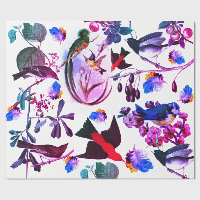 VÅR FÅGLAR, FJÄDRAR OCH FRUKTER Rosa Blue Blommigt Presentpapper (Platt)