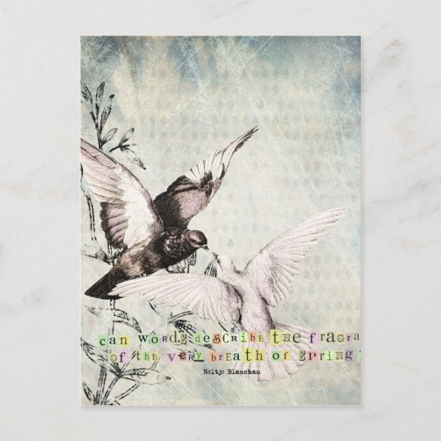 Vår fåglar vykort (Framsida)