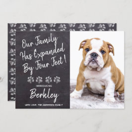 Vår familj har utökats med fyra feets New Pet Pupp Meddelande