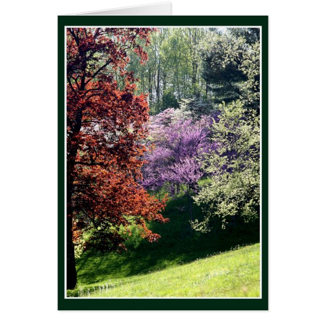 Vår Färg Hälsningskort (Framsidan)