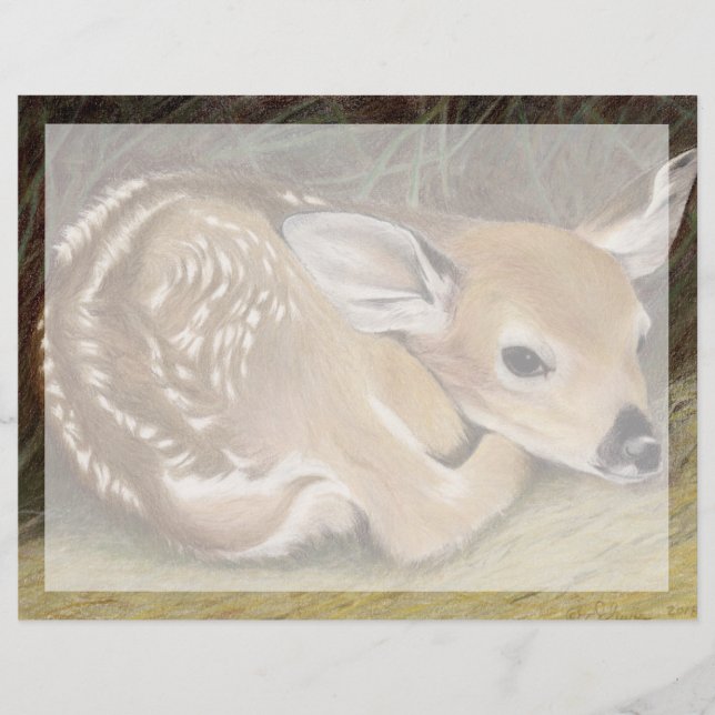 Vår Fawn (Framsida)