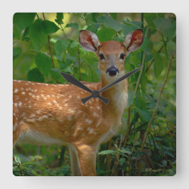 vår Fawn Fyrkantig Klocka