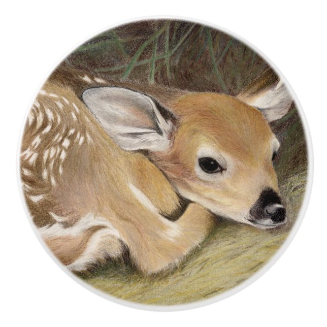 Vår Fawn Knopp (Framsidan)