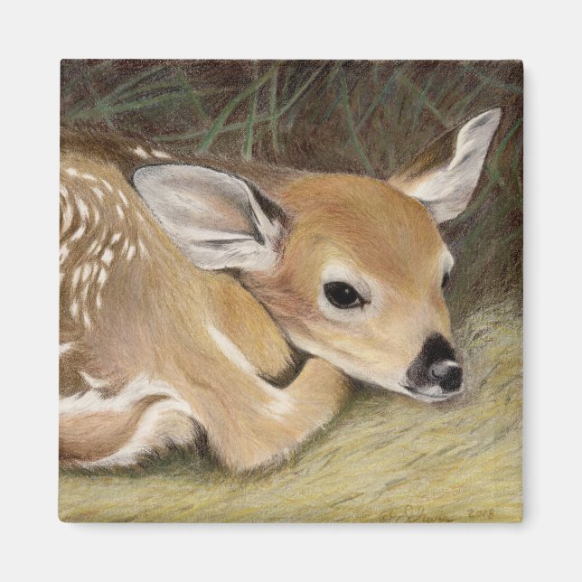 Vår Fawn Magnet (Framsidan)