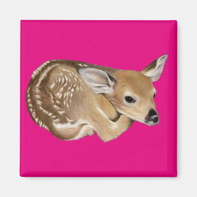 Vår Fawn Magnet (Framsidan)