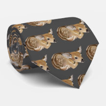 Vår Fawn