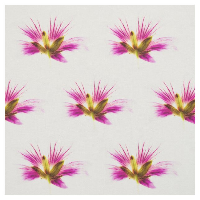 Vår Feather Flowers Tyg (Provkarta)