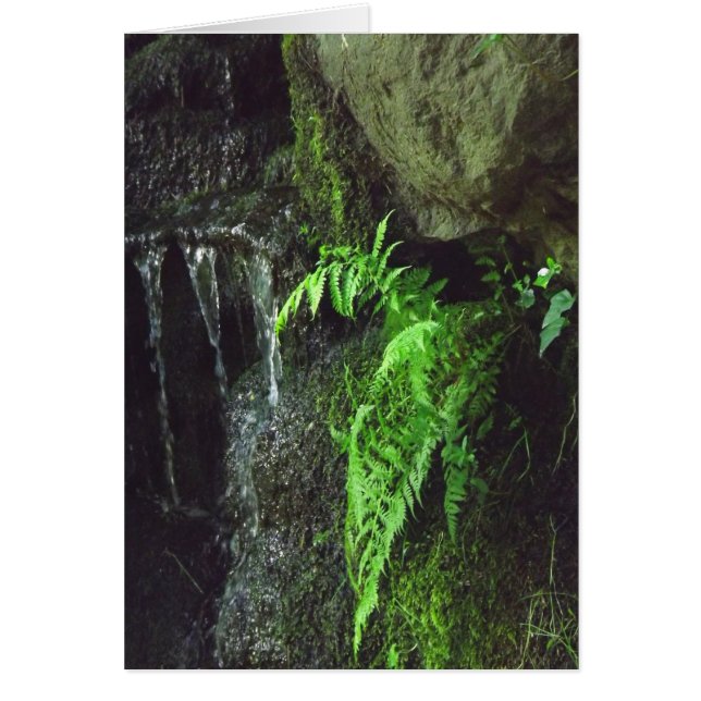 Vår Fern OBS Kort (Framsidan)