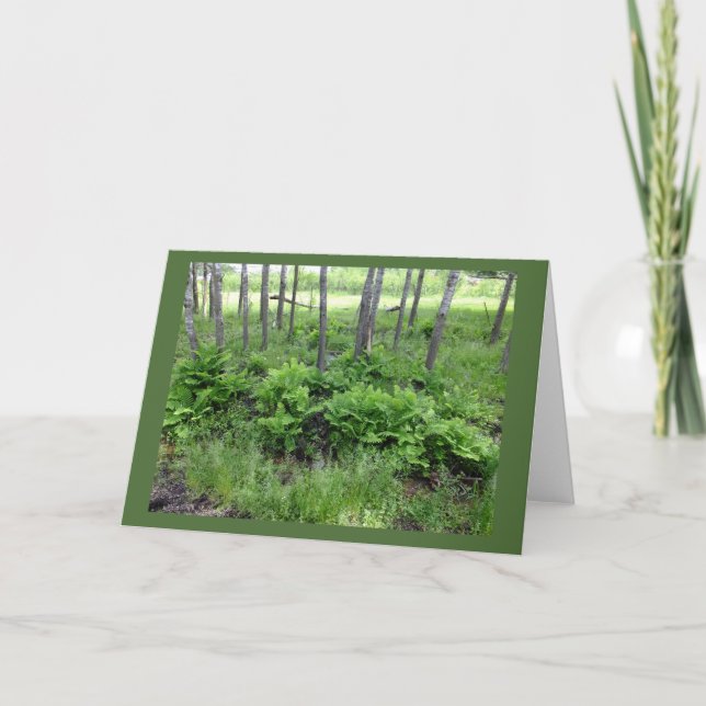 Vår Ferns in Wisconsin Blank Note Card Kort (Framsida)