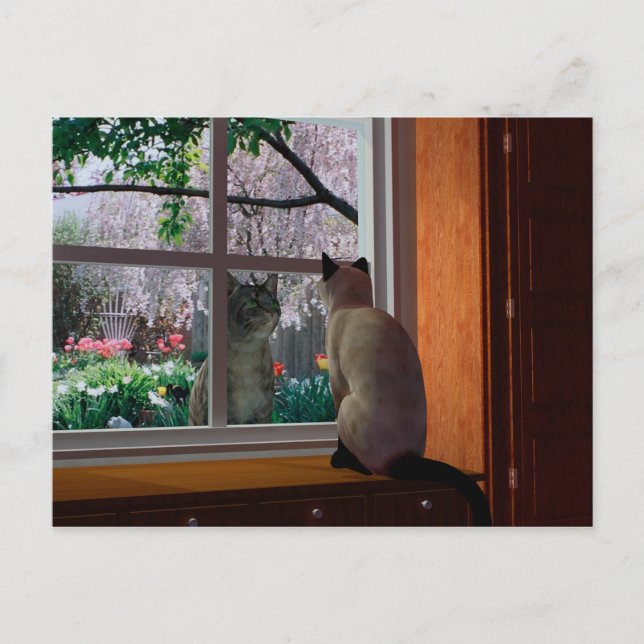 Vår Fever Vykort (Framsida)