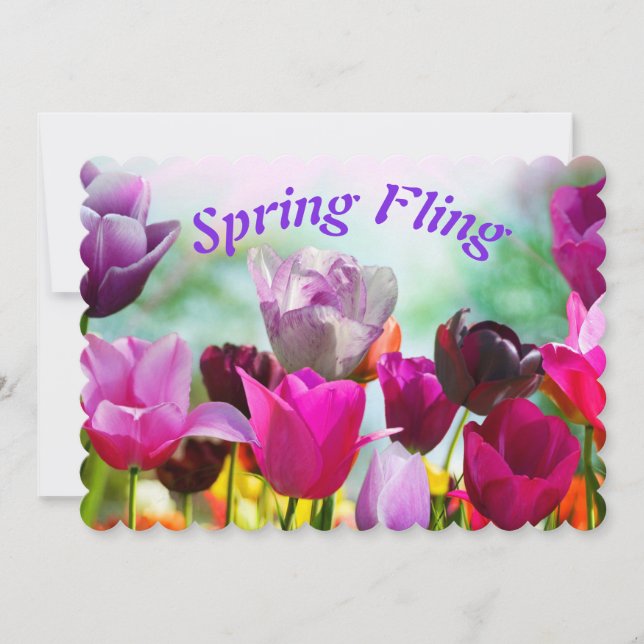 Vår Fling Tulip Blommigt (Framsida)