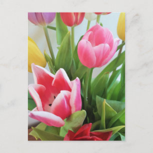 Vår Flower Bouquet Tulips, Blommigt, natur Vykort