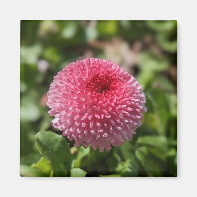 Vår Flower Magnet (Framsidan)