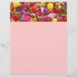 Vår Flyers papper Teman Tulpan Blommor Natur