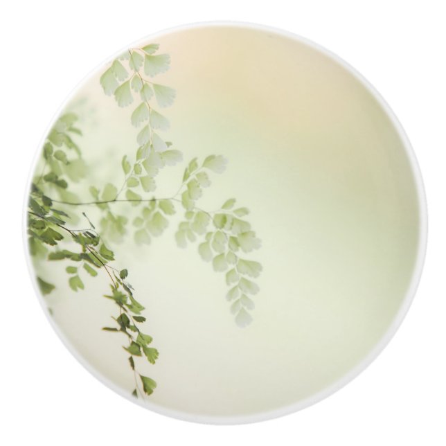 Vår Foliage Knopp (Framsidan)