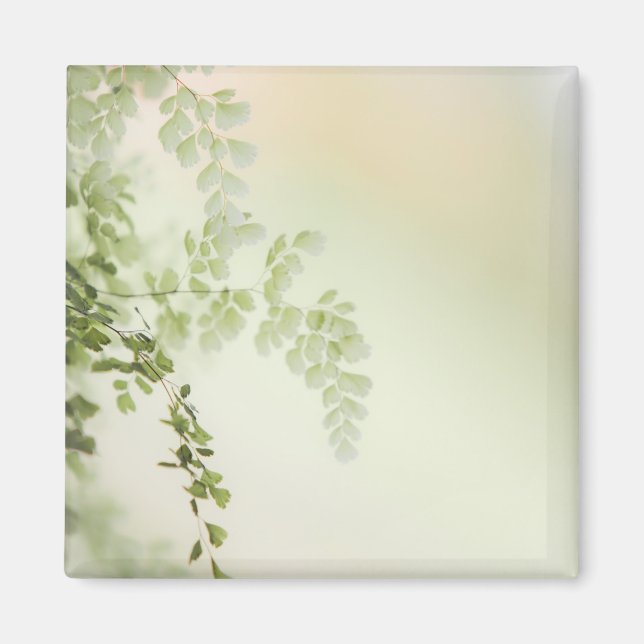 Vår Foliage Magnet (Framsidan)
