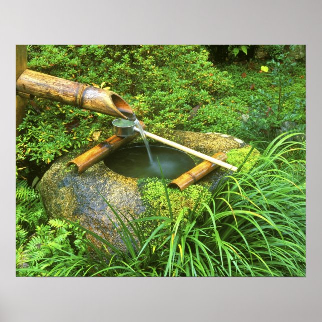 Vår för Tea Ceremony, Sanzen-in Temple Poster (Framsidan)