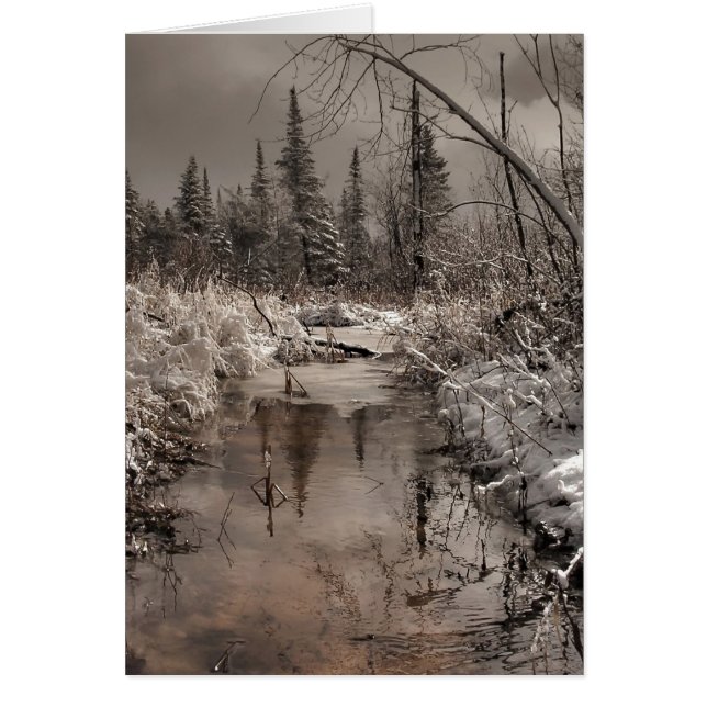 vår förmiddag hälsningskort (Framsidan)