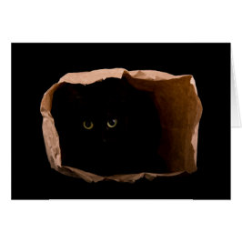 Var försiktig med attackkatten! hälsningskort