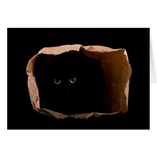 Var försiktig med attackkatten! hälsningskort (Framsidan Horizontal)