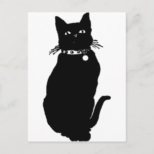 Var försiktig med Black Cat Vykort