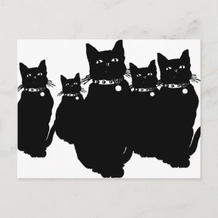 Var försiktig med Black Cat Vykort