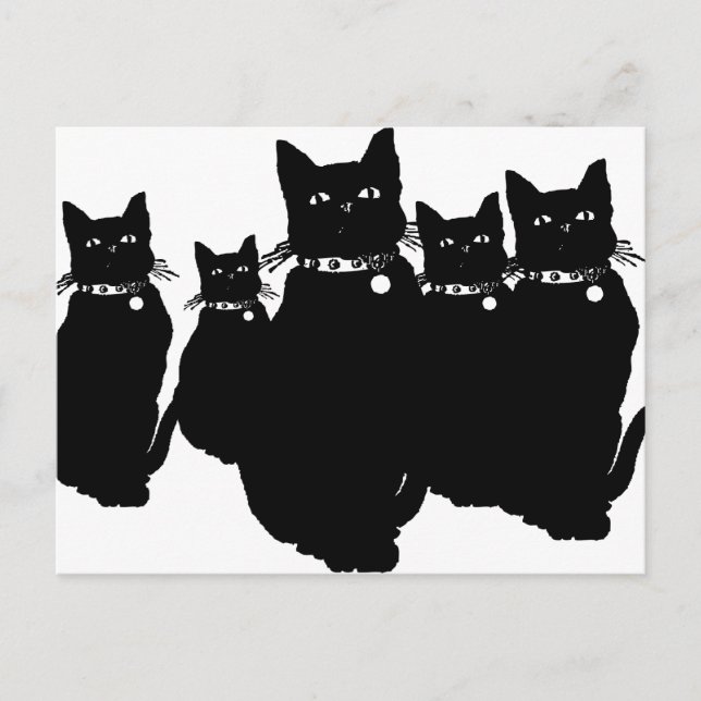 Var försiktig med Black Cat Vykort (Framsida)