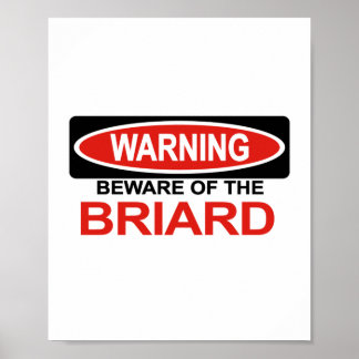Var försiktig med Briard Poster