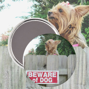 Var försiktig med Cute Yorkie Magnet