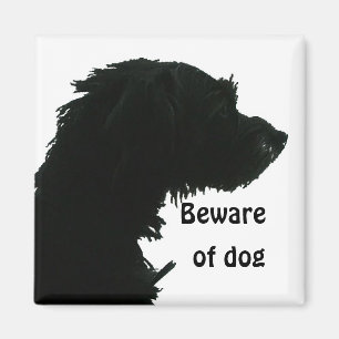 Var försiktig med Hund Magnet