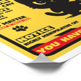 Var försiktig med katten poster