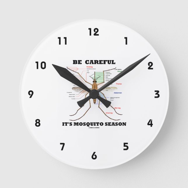 Var försiktig med Mosquito Season (Mosquito Anatom Rund Klocka (Framsida)