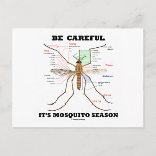 Var försiktig med Mosquito Season (Mosquito Anatom Vykort