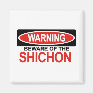 Var försiktig med Shichon Magnet