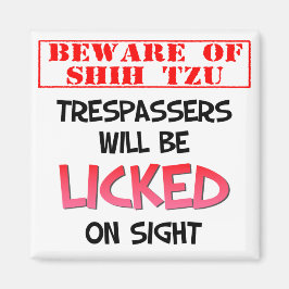 Var försiktig med Shih Tzu (Vit) 2-tums kvadratstr Magnet