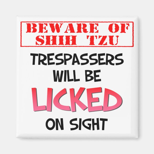 Var försiktig med Shih Tzu (Vit) 2-tums kvadratstr Magnet (Framsidan)