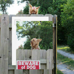Var försiktig med söt lilla Yorkie-hund Vykort