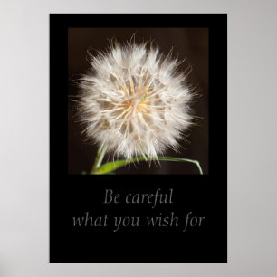 Var försiktig med vad du vill poster