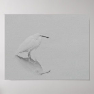 Var fortfarande Egret Poster