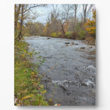 Var fortfarande gammal Bäck