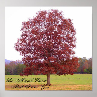 Var fortfarande kvar poster