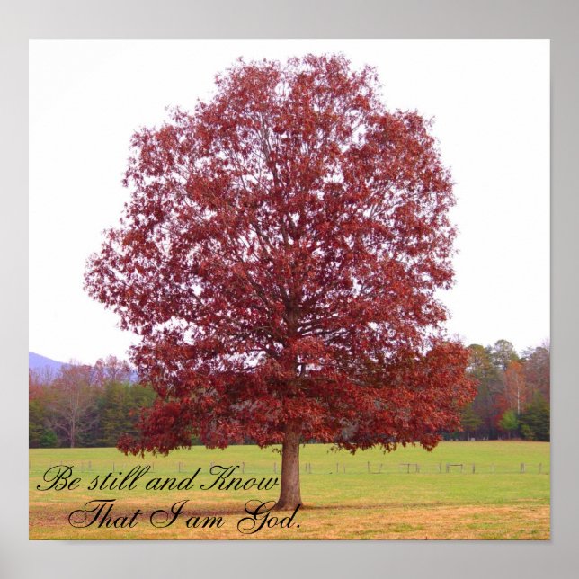 Var fortfarande kvar poster (Framsidan)